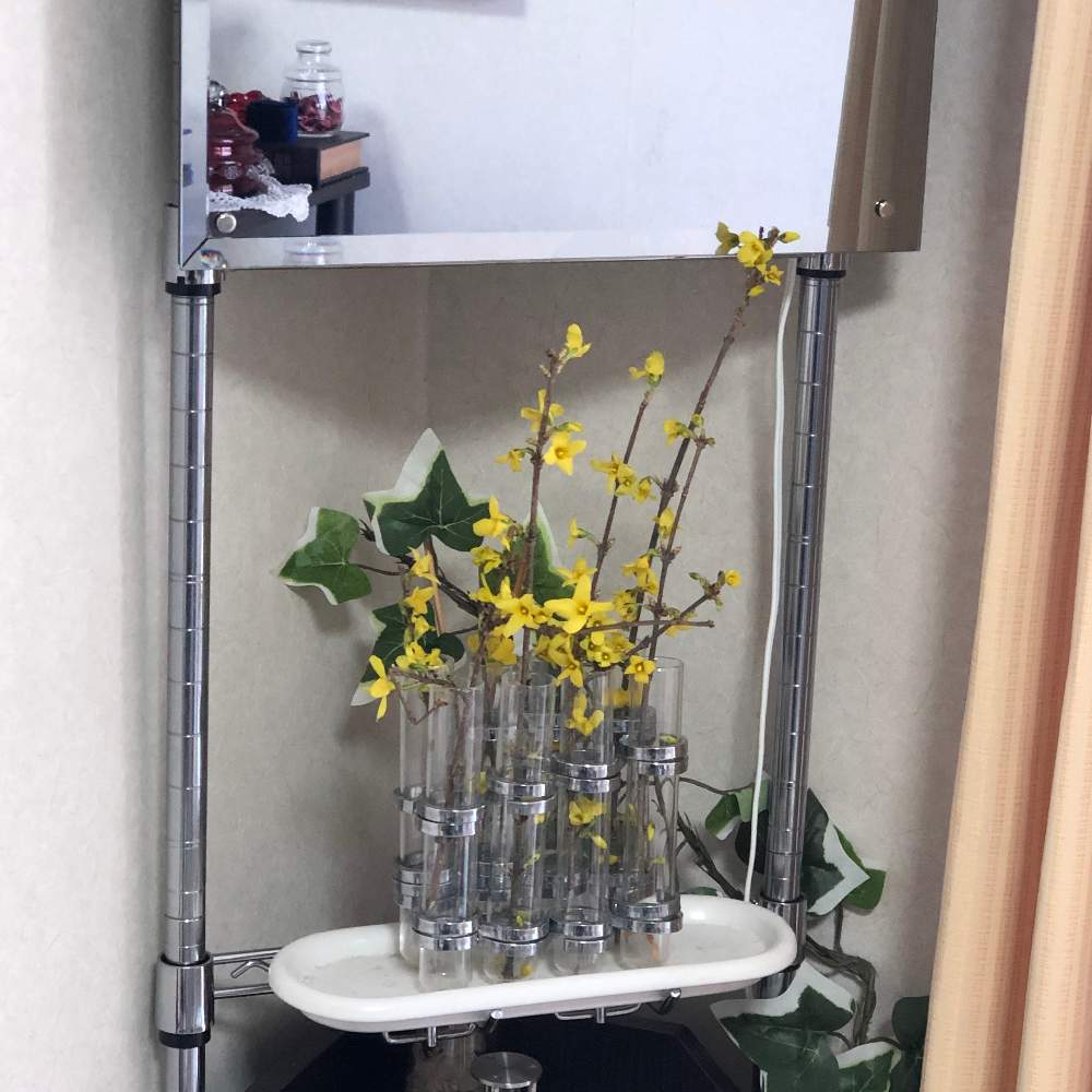 インテリアの画像 by Grace Placeさん | インテリアとレンギョウ(連翹)と花言葉と花のある暮らしと誕生花とGS映え