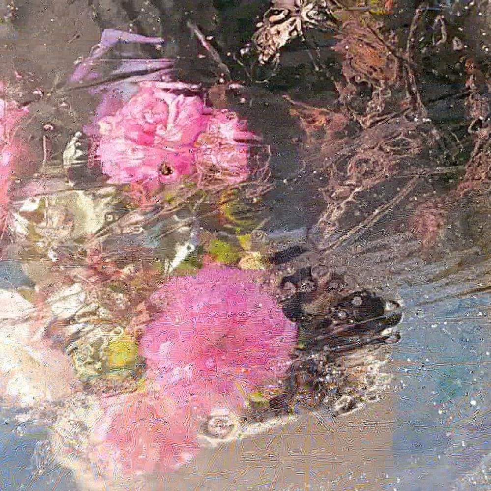 小さな庭の画像 by そよ風(ちなみ)さん | 小さな庭とミニ薔薇グリーンアイスと私の花の写真と薔薇愛同盟とガーデニング大好きと花の好きな方と繋がりたいとおうち園芸とまいがーでんと花のある暮らしとチーム愛知