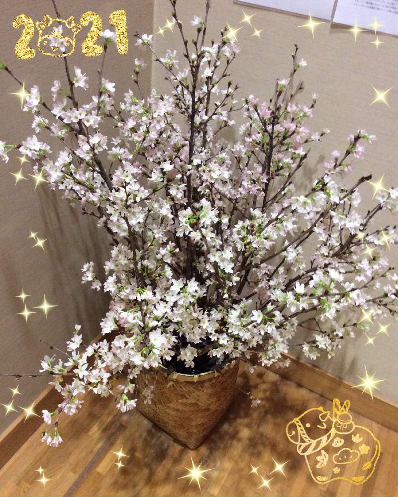 お出かけ先の画像 by nagiさん | お出かけ先と雪多いと寒いと蔵王と雪降りと頑張れ❗️日本