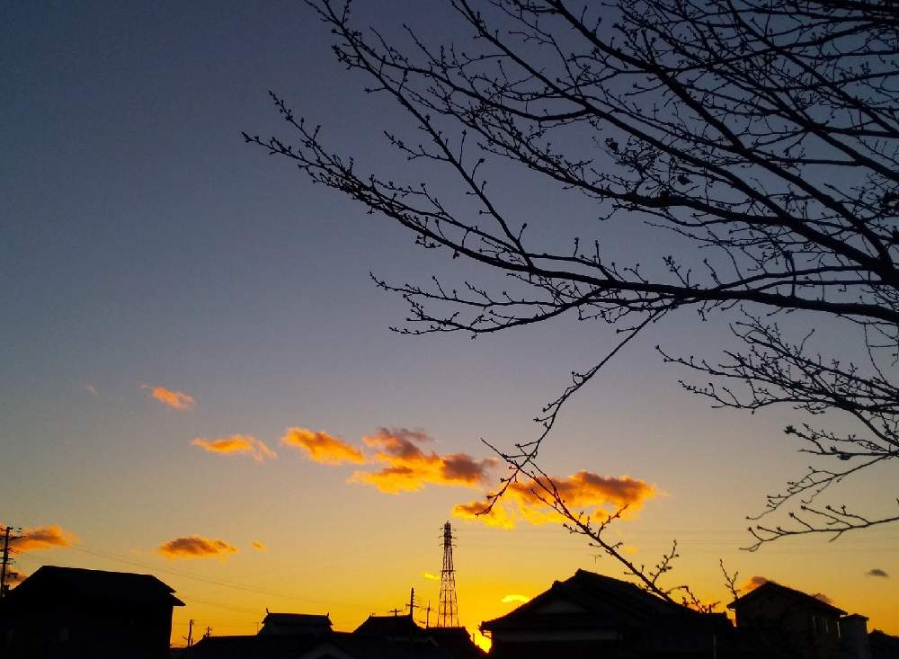 お出かけ先の画像 by 陽だまりの中で……さん | お出かけ先と木のある風景と空を……☆★☆と雲仲間
