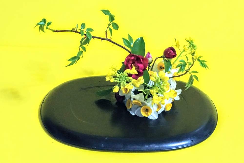 部屋の画像 by 野ニンさん | 部屋と令和最初の植物とGSでお買い物と出版とGS映えとGreenSnapmarcheと花のある暮らしと#greensnapとGREEN UP!