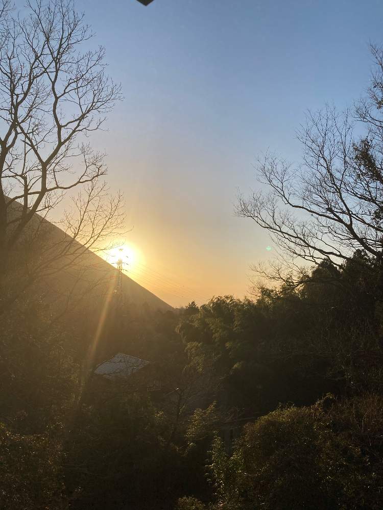 窓辺の画像 by のいまいさん | 窓辺と雑木林と大室山⛰と竹林 竹と未確認飛行物体❓と交通安全祈願と写真中毒といつもありがとう❣️とコロナに負けるな‼️と医療従事者に感謝と感謝❤️