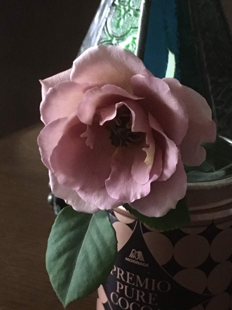 部屋の画像 by でんでんさん | 部屋と薔薇 ジュリアと花のある暮らしとばら バラ 薔薇とおうち園芸