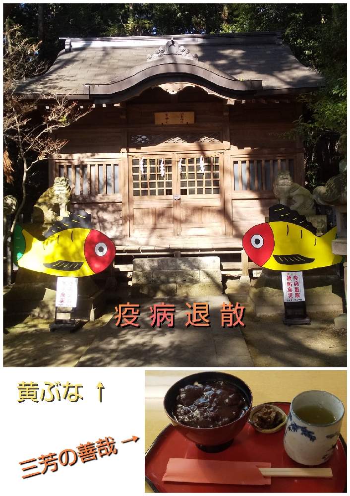 の画像 by yasukoさん | おたりやと明神大社と式内社