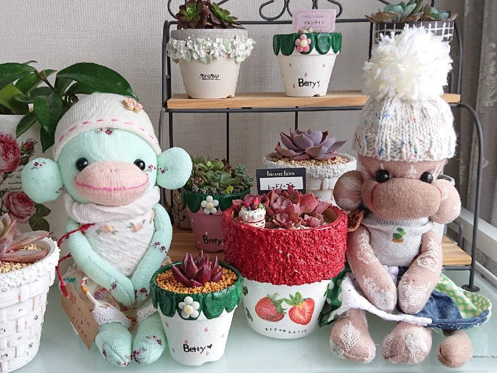 部屋の画像 by さちべさん | 部屋と15歳4ヶ月とシロップちゃんのソクモンとありがとう❤️とこれからも一緒だよと容舞后さんリメ鉢とGSのみなさんに感謝♡とBAKECAFE nicheと毎月15日はいちごの日と花のある暮らしとberryさんリメ鉢と老犬キュウタロウとたにおたくらぶと可愛いね♡とplumrinkoちゃんのソクモン