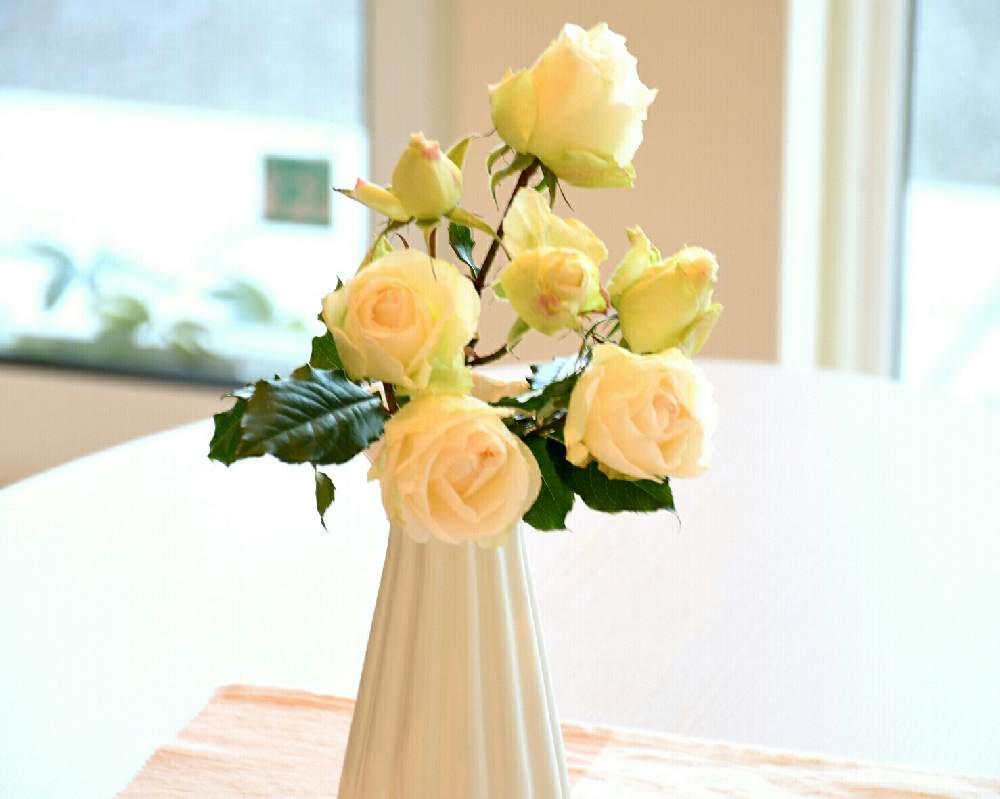 インテリアの画像 by naokichiさん | インテリアとばら バラ 薔薇と薔薇愛同盟とマイガーデンとバラのある暮らしとおうち園芸と花のある暮らしと薔薇♪とバラ・ミニバラ