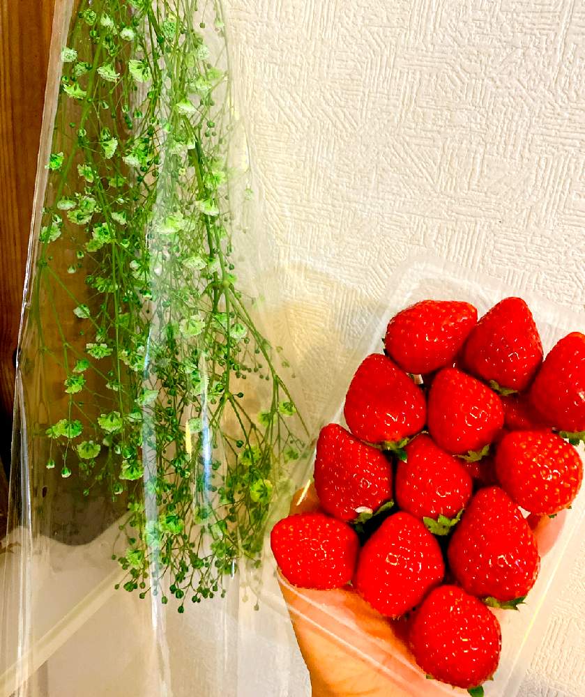 インテリアの画像 by ホエリさん | インテリアとイチゴとかすみ草とお花大好き♡とドライフラワーのある暮らしと花好きさんと繋がりたいとフラワーライフセラピストとGSに感謝。とハンドメイドとナチュラルスタイルと毎月15日はいちごの日と花のある暮らしとお花屋さんと花育士とiPhone撮影