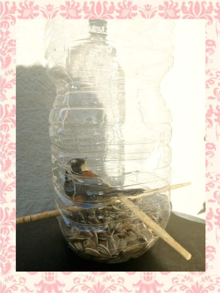 バルコニー/ベランダの画像 by ✨花鳥風月堂✨さん | バルコニー/ベランダとバードフィーダーと野鳥とヤマガラ