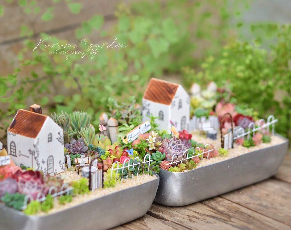 デスクの画像 by くるみ*さん | デスクとアジアンタムと多肉植物 寄せ植えと箱庭と箱庭 多肉植物と多肉植物とkurumi gardenと箱庭の世界とくるみタウンとお誘いと植物ジオラマとミニチュアと多肉ジオラマと多肉植物のある暮らしとジオラマと小さな世界の物語とくるみガーデンとミニチュアの庭とお弁当箱の箱庭とくるみタウンの森とアルミの弁当箱と小さな小さな庭と小さな世界と多肉寄せ植えとミニミニハウス