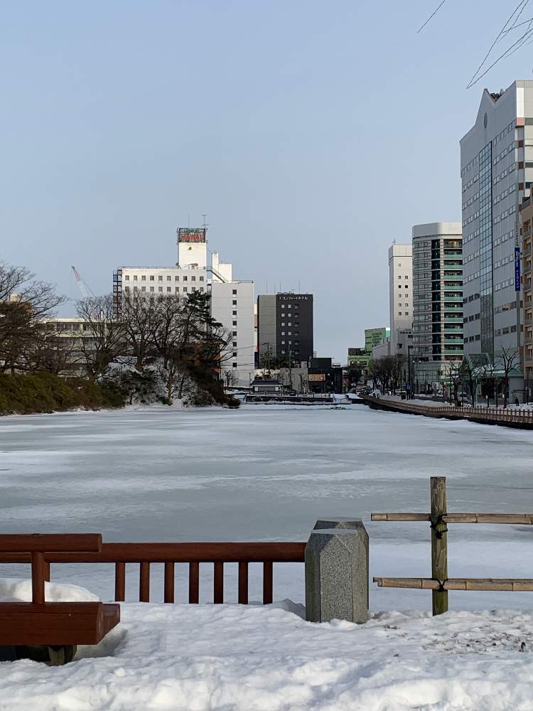 お出かけ先の画像 by ふみちゃんさん | お出かけ先と千秋公園 お堀 冬