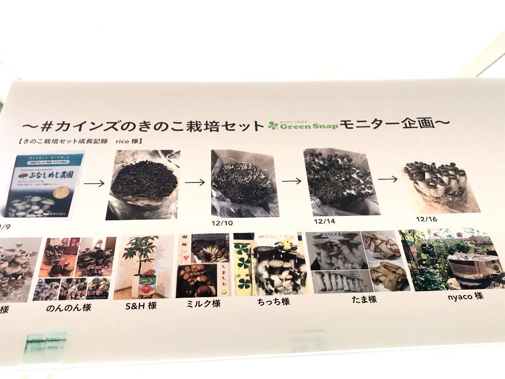 お出かけ先の画像 by ricoさん | お出かけ先とキュンキュン乙女倶楽部と自家栽培の野菜達と家庭菜園とうれしいとGSミニモニ。とバラと夢CLUBと自家製野菜