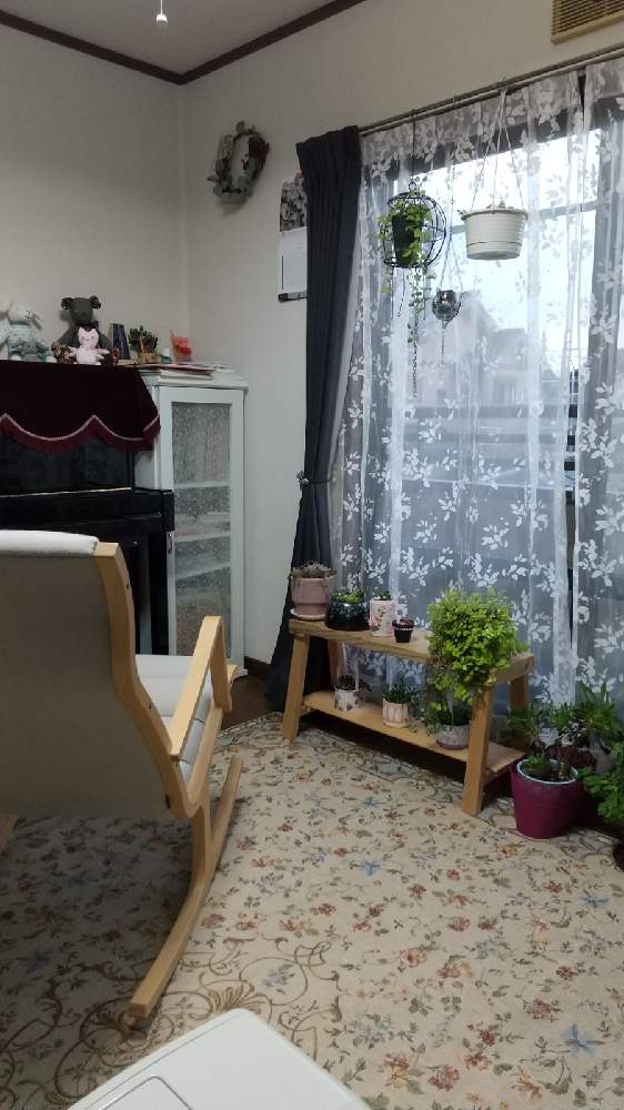 部屋の画像 by りなははさん | 部屋とおうち園芸とお部屋と多肉植物と寝落ち倶楽部とコロナおしりペンペン( ・᷄ὢ・᷅ )とB型です