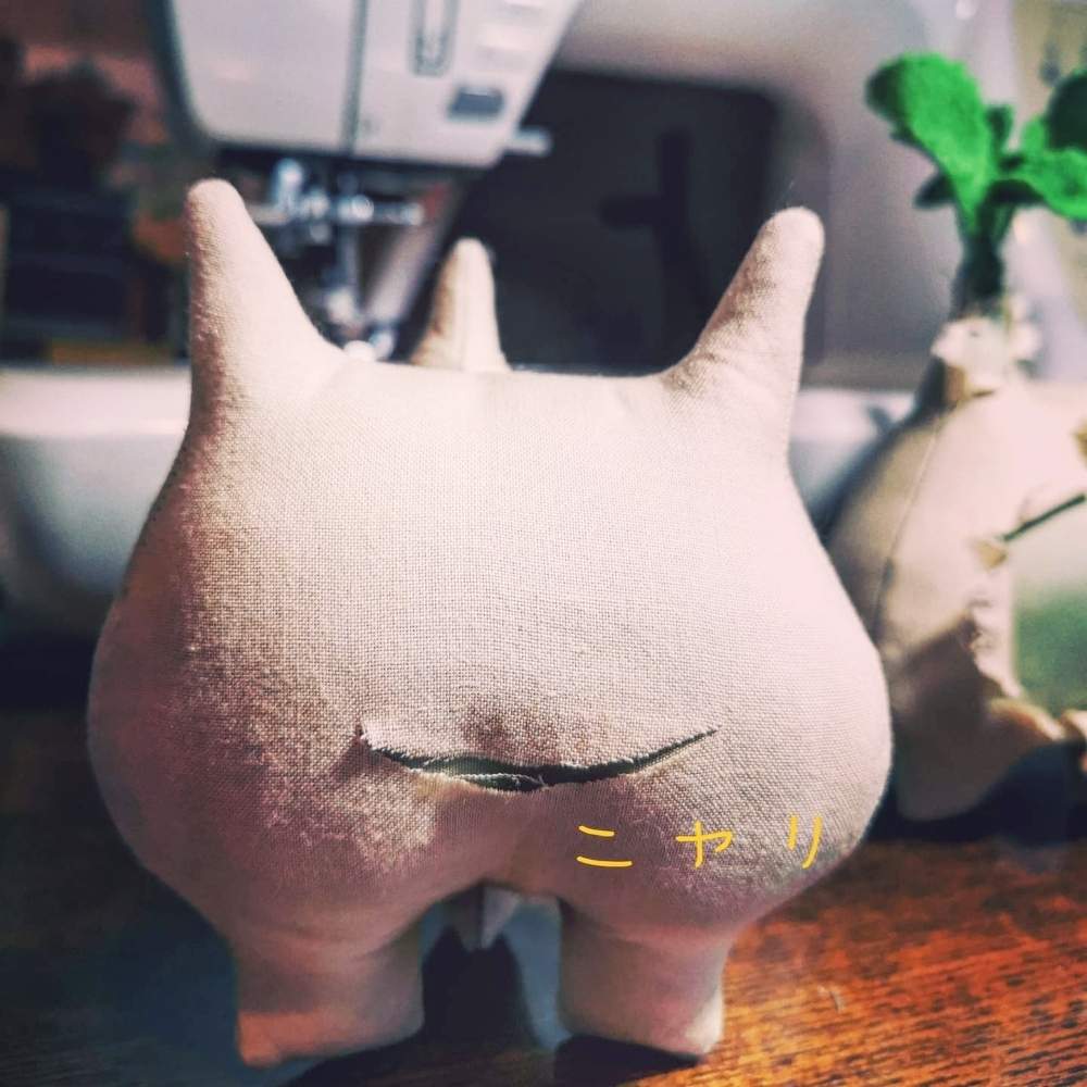 部屋の画像 by poporopoooさん | 部屋と塊根植物のある暮らしと塊根とウター マクロプスとキフォステンマと手乗りと多肉大好きとぬいぐるみと塊根大好きと多肉植物のある暮らしとコーデックスと塊根まん・ベアルートと塊根植物と可愛いと珍奇植物と緑のある生活とインテリア雑貨とぷっくりとビザールプランツとインテリアグリーンとzooo plants