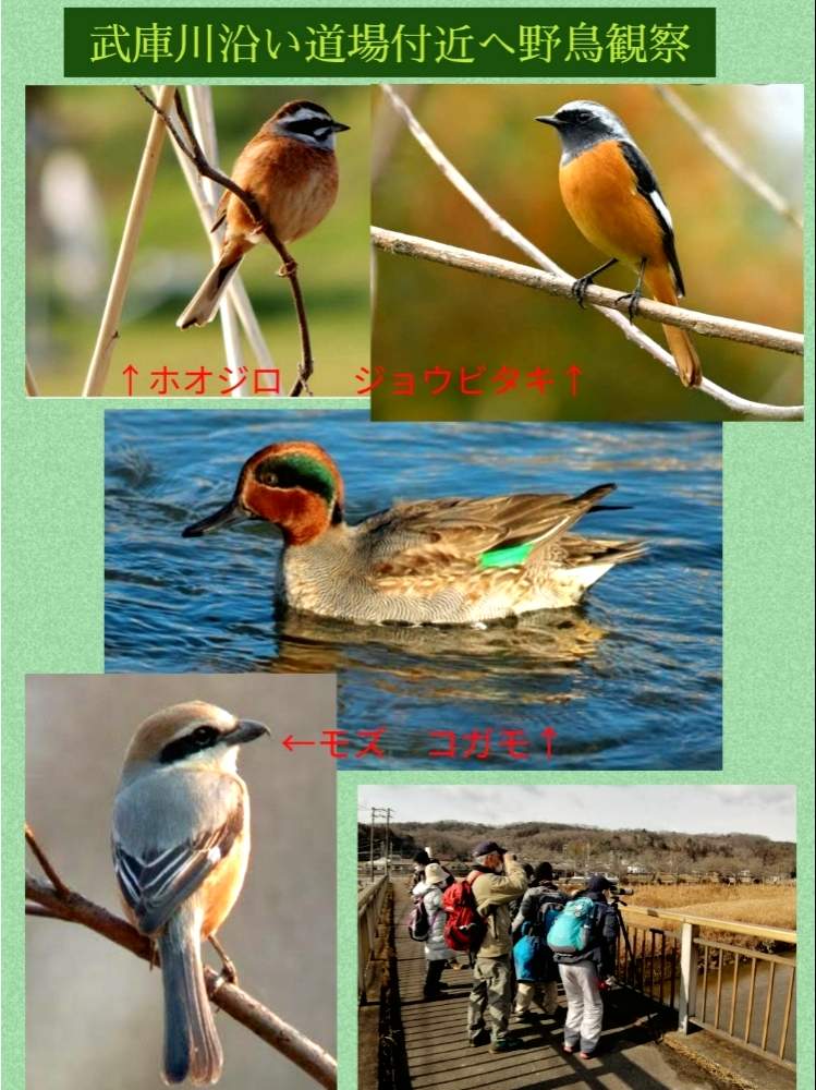 お出かけ先の画像 by ✨花鳥風月堂✨さん | お出かけ先と野鳥観察と武庫川