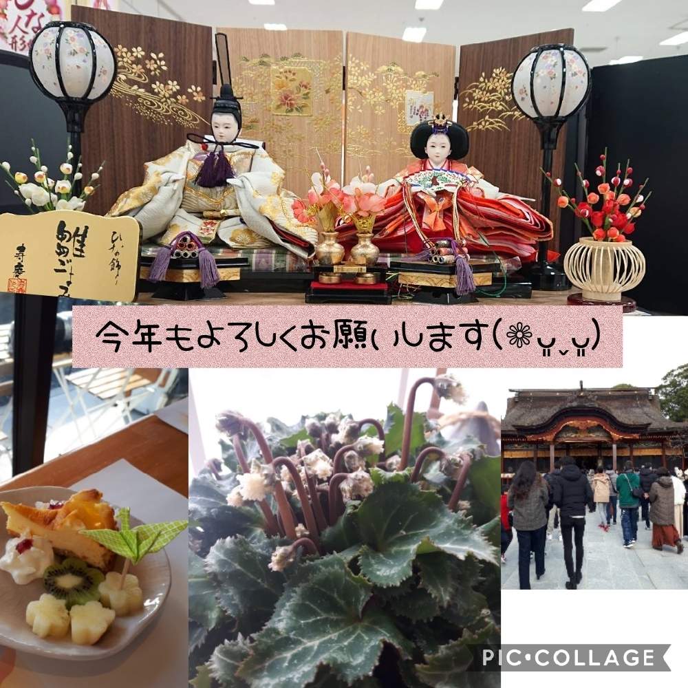 部屋の画像 by Tomoさん | 部屋とロザリアン見習いとおうち園芸と植中毒と雑貨好き♡と憧れの薔薇と花のある暮らしとバラ薔薇ばらら~❤️といいね♥ありがとうございます✨とチーム福岡