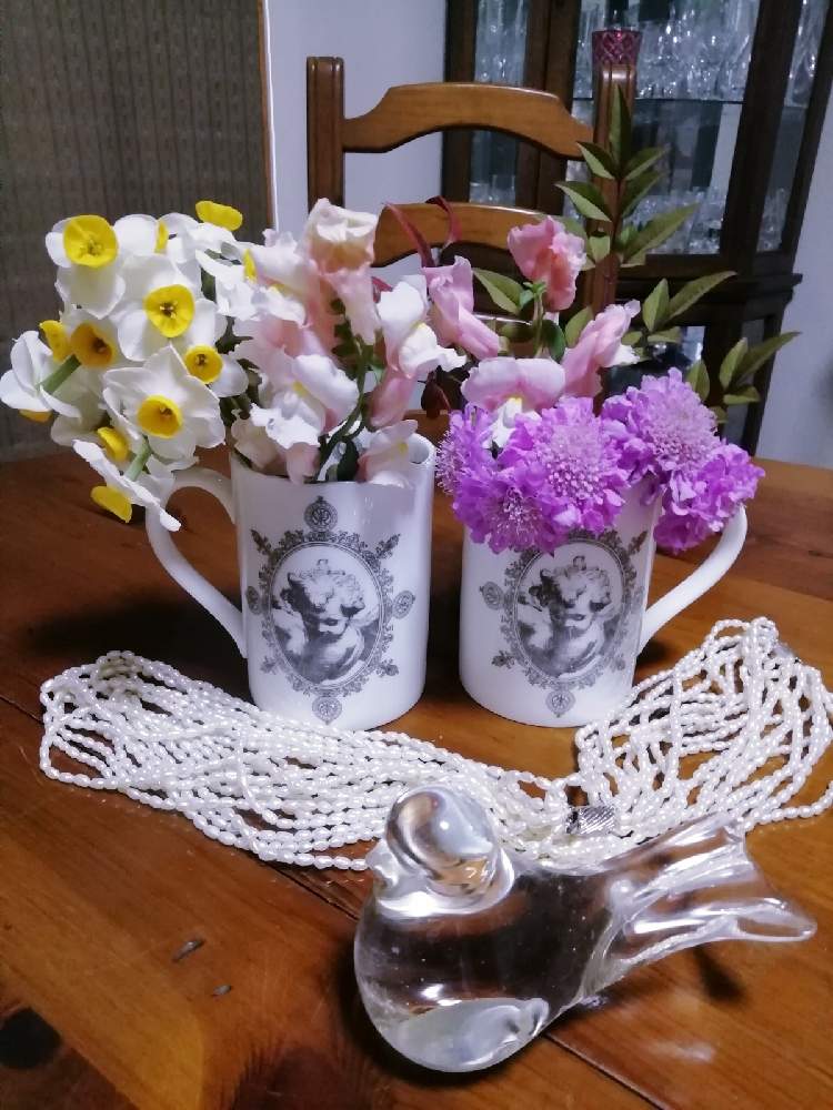 部屋の画像 by 律さん | 部屋と白い水仙とお花大好き♡と優しい花に癒やされてとエンジェル祭りと花のある暮らし