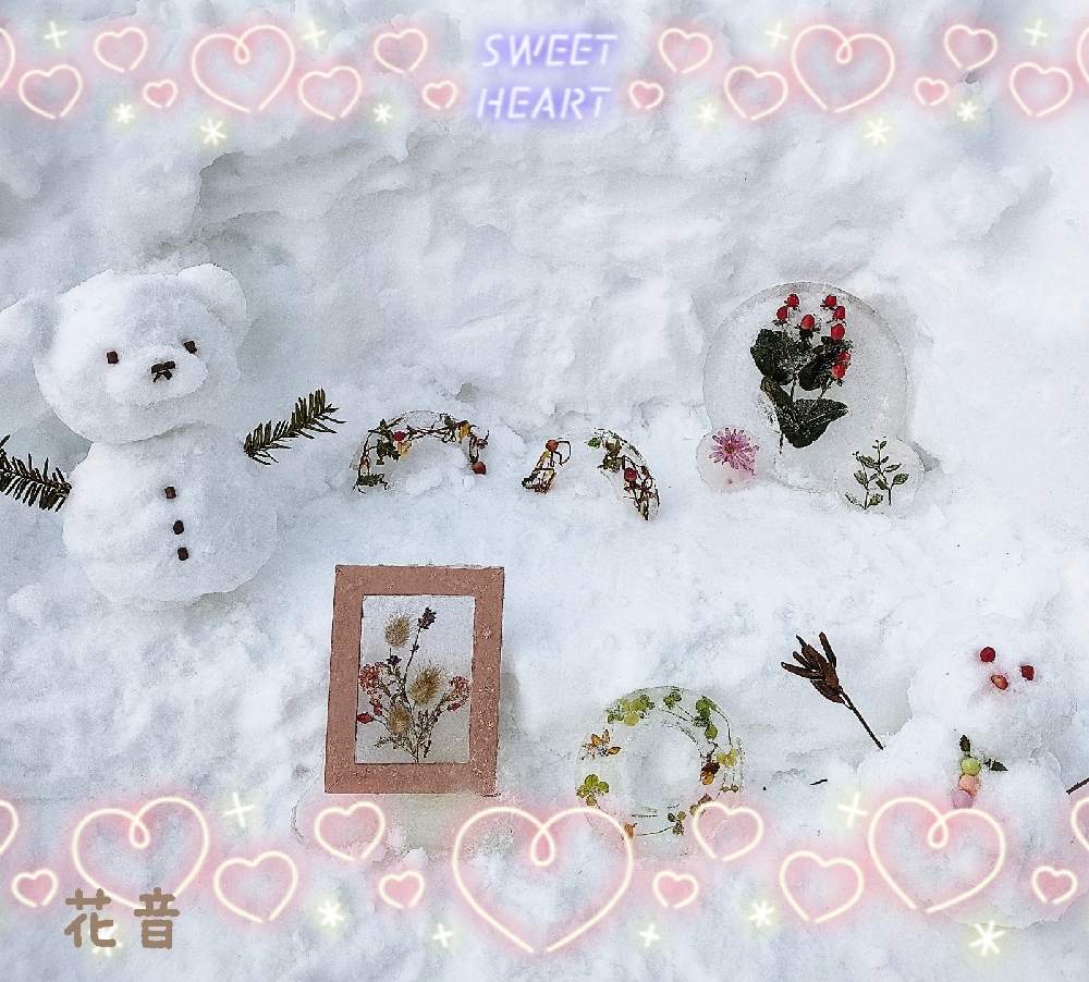 小さな庭の画像 by 花音さん | 小さな庭とみんなの冬2021とフローズンハーバリウムとエールを送ろう‼︎とコロナに負けないとぼちぼちと…と旭川からと癒されると冬の北海道と北国の花遊びと花のある暮らしと北海道と小さな幸せと繋がりに感謝✨