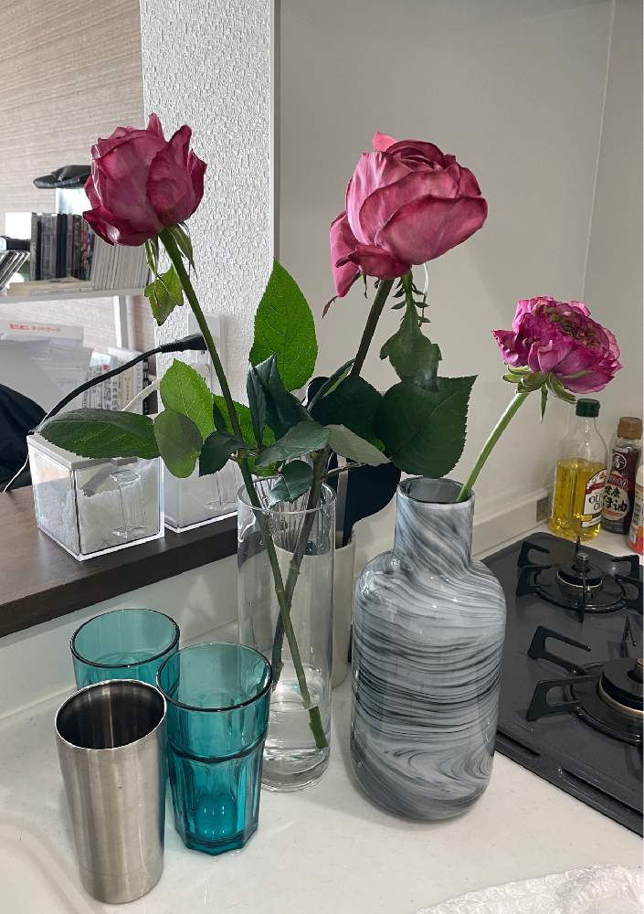 キッチンの画像 by aya...☻さん | キッチンとラナンキュラスと薔薇とマルバ ラナンキュラスとイブ・ピアジェとバラ イブ ピアッチェ