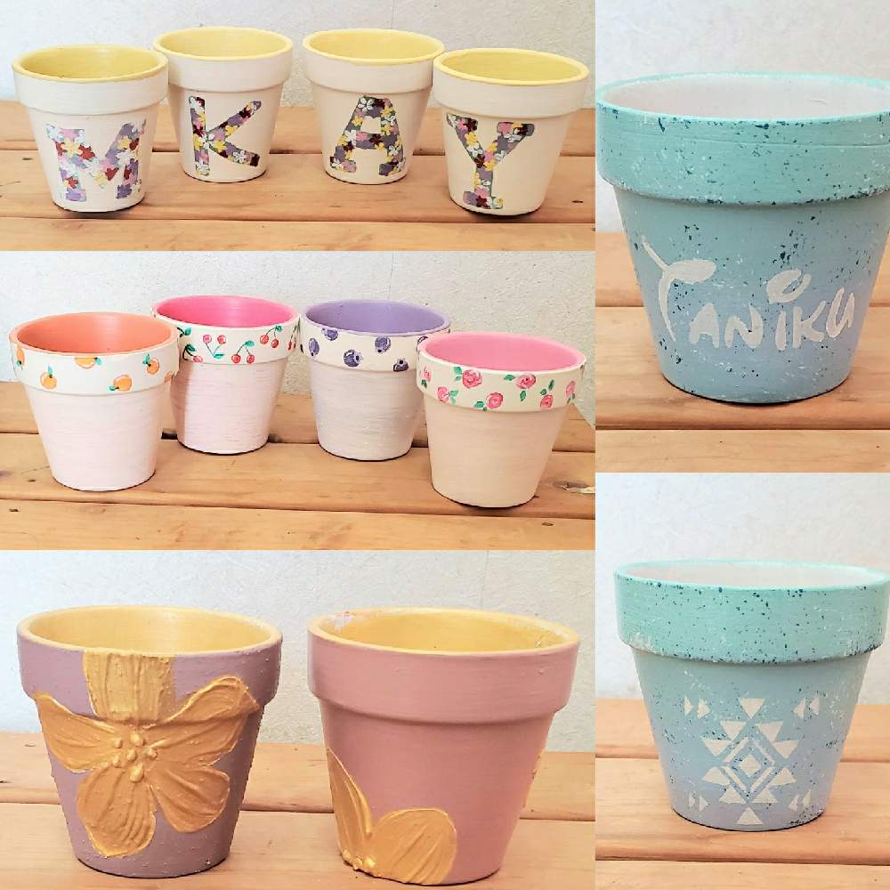 の画像 by mimi29K∧N∧さん | 多肉植物とリメ缶とリメイクと多肉植物が好きな人と繋がりたいと多肉植物寄せ植えとタニ友募集とリメ鉢とセダム寄植えと サボテンとエケベリア属とエケベリア寄せとガチャガチャ鉢とさぼてんとキャンディポットとリメイク缶と多肉鉢植え苗ケース希望とリメイク鉢とガチャガチャ