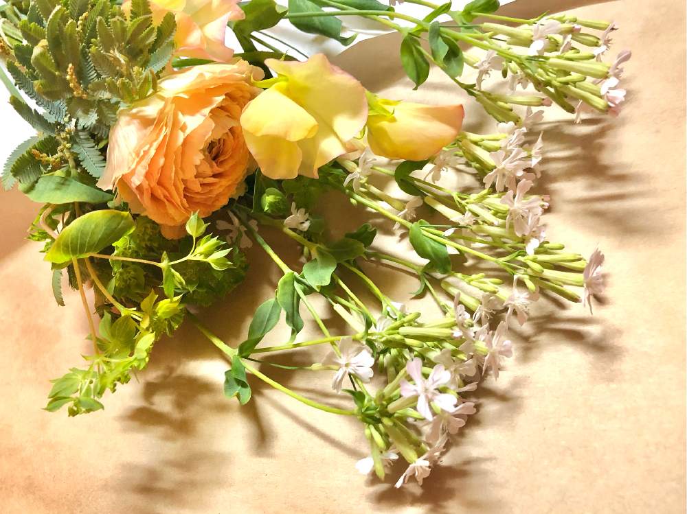 の画像 by 道端 りりりさん | 買い足したお花