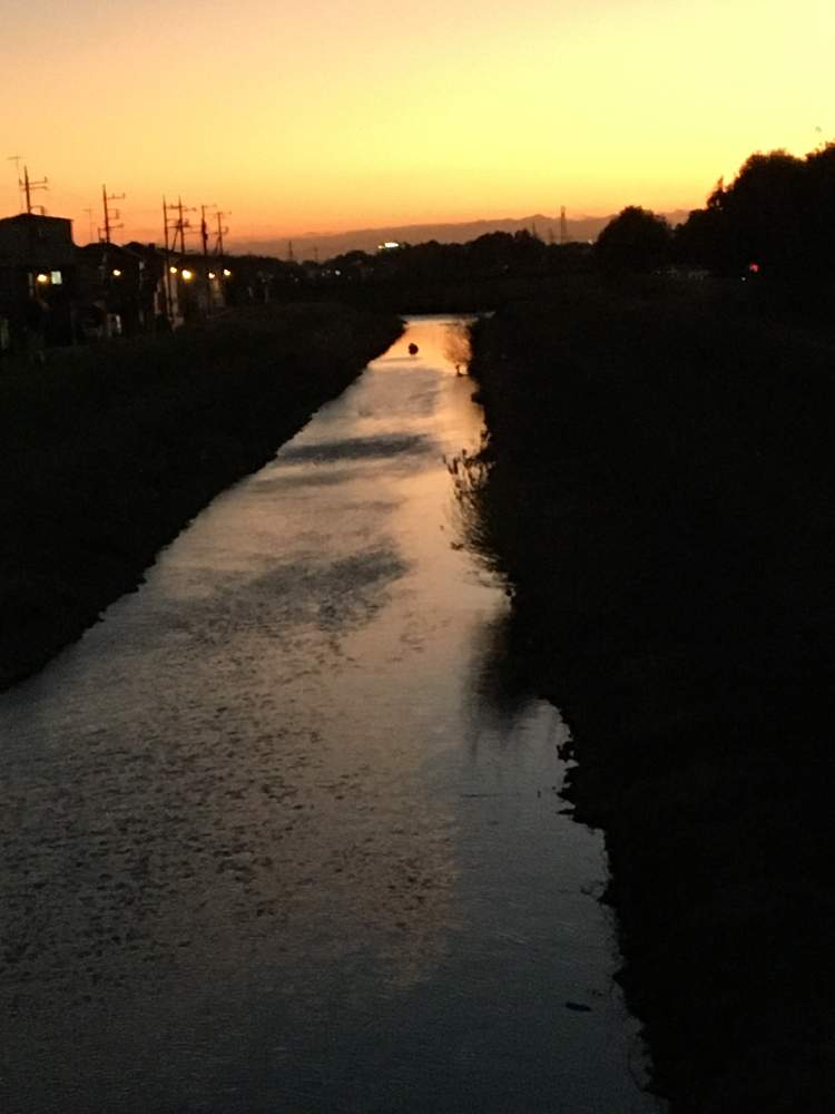 お出かけ先の画像 by クサガメかめこさん | お出かけ先と夕焼け