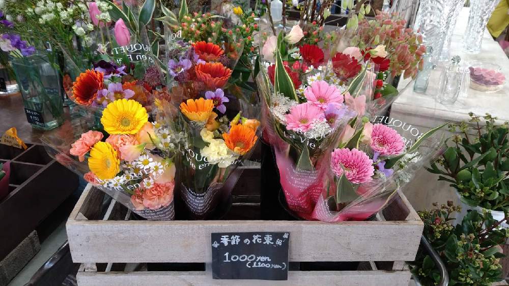 インテリアの画像 by 有限会社相武ガーデンさん | インテリアと多肉植物と観葉植物とハンギングバスケットとドライフラワーと寄せ植えとスワッグとギャザリストと生花とギャザリングとリースとプリザーブドフラワーアレンジと花屋とフラワーアレンジメントと花のある暮らしと花束