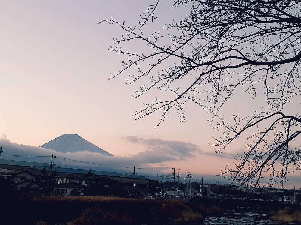 お出かけ先の画像 by さくら貝さん | お出かけ先とサクラとさくら サクラ 桜と 富士山と富士山とスマホ撮影と桜の木☆と雲仲間とさくら 桜 サクラと☁️雲のアート☁️