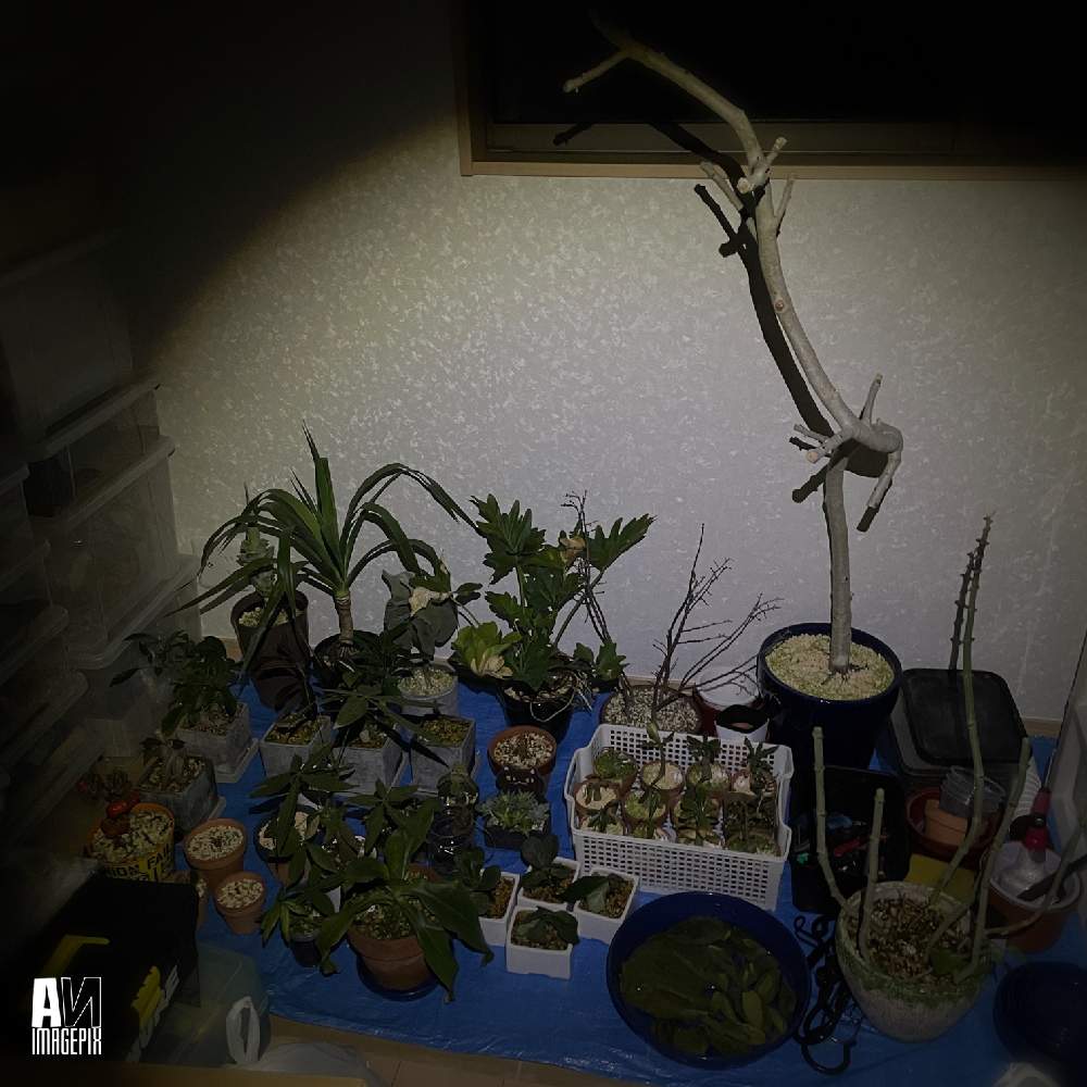 部屋の画像 by あんさん | 部屋と№36と№06と№44と№29と№41と№26と№01と№09と№40と№31と№45と№42と№22と№47と№37と№03と№27と№46と№35と№02