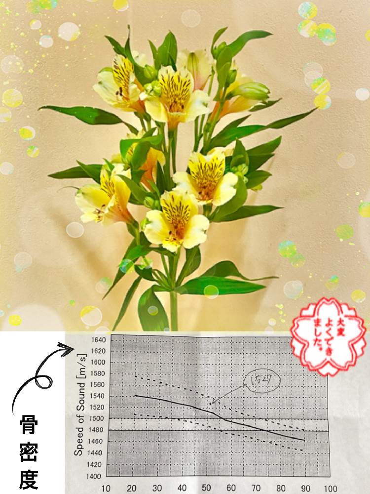 お出かけ先の画像 by 織家さん | お出かけ先とアルストロメリアと山形とどこでも植物と斑入り好き♡と定期通院先のトイレ花(^。^)と朱赤LOVEと純白が好きと黄色いお花大好き協会とほんのりピンクが好きとiPhone撮影
