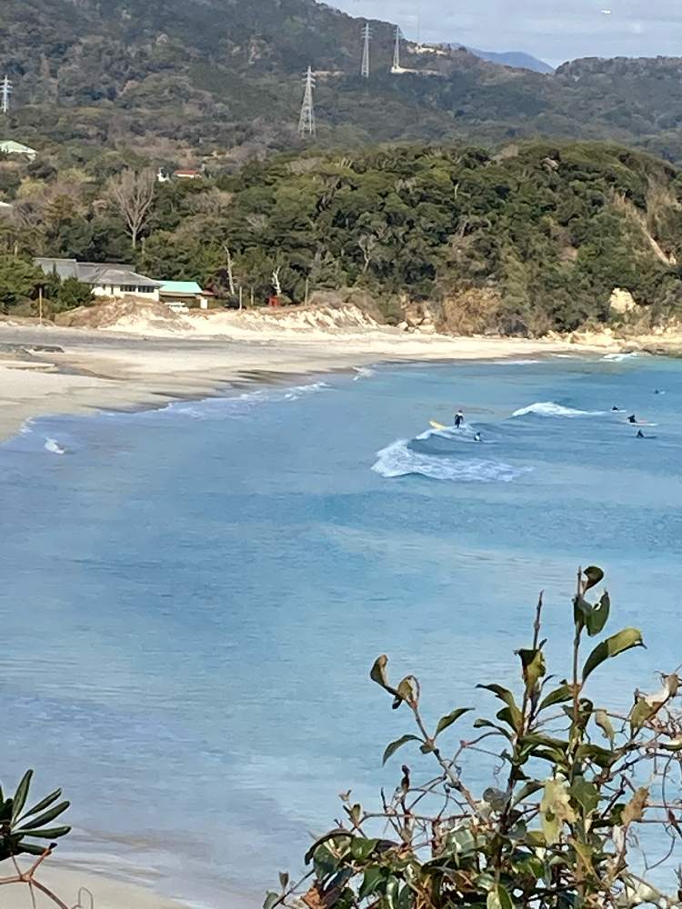 お出かけ先の画像 by のいまいさん | お出かけ先と松の林と名前不明の木と交通安全祈願と写真中毒と海辺が恋しいとユーミンつながりとコロナに負けるな‼️と医療従事者に感謝