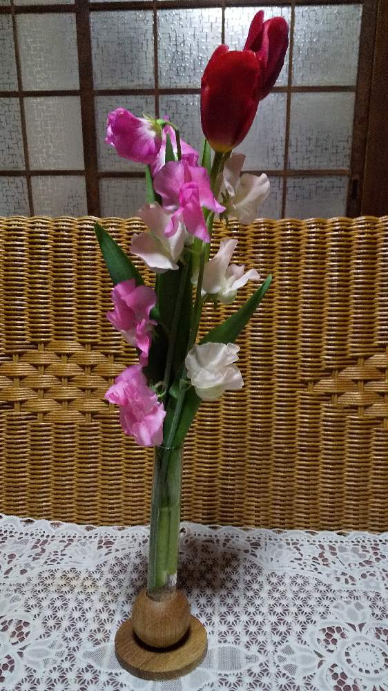 部屋の画像 by ラベンダーさん | 部屋とスイートピーとチューリップと花のある暮らしときれ~い❤と下の娘からの誕生日プレゼントとカビと御花をプレゼント