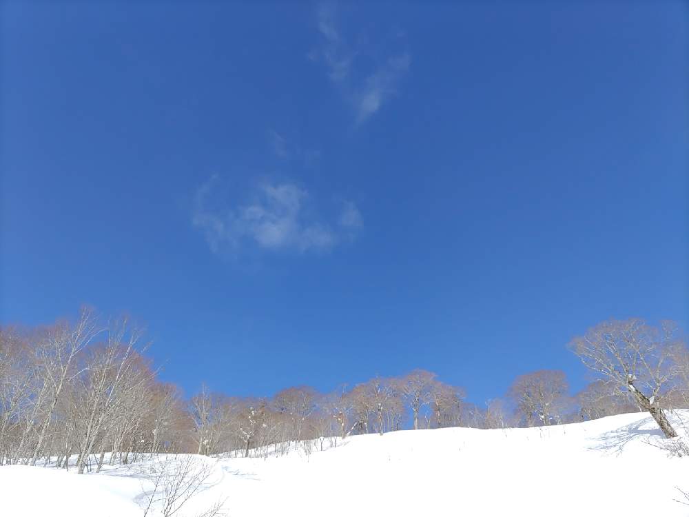 お出かけ先の画像 by *Jupiter*さん | お出かけ先と☆携帯撮影☆と冬の青空と頑張ってと冬山と純白と素敵な出会いに感謝と冬のトレッキングと栗駒山としあわせを願ってと頑張れ受験生!と雪原