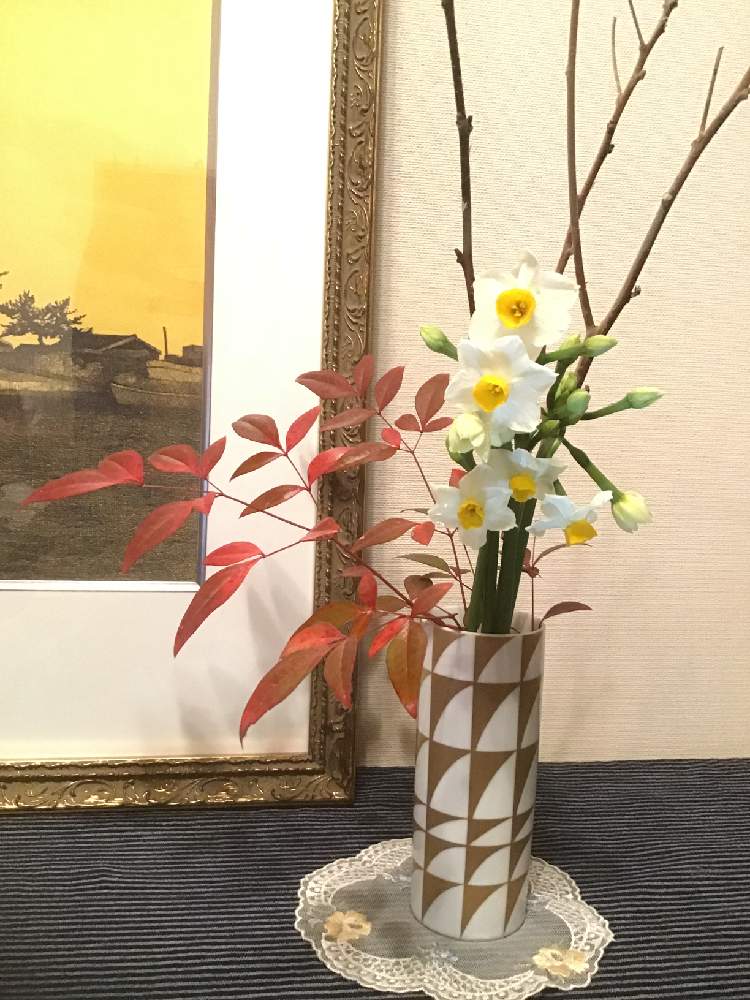 小さな庭の画像 by うたちゃんさん | 小さな庭とGS日和と小さな アレンジと日本水仙♪