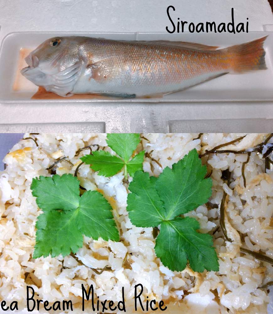 キッチンの画像 by なおっちさん | キッチンとミツバと家庭菜園と料理と#ミツバとおうちご飯
