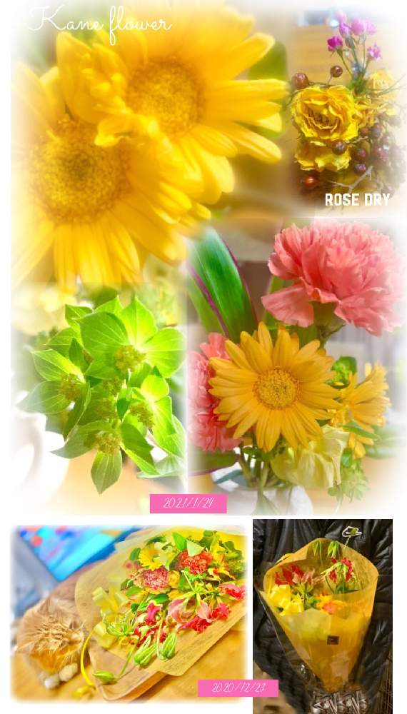 の画像 by kane flowerさん | カーネーションとガーベラとバラとグロリオサとブプレウルムと昨年末と家庭菜園とプレゼントと埼玉県と今朝