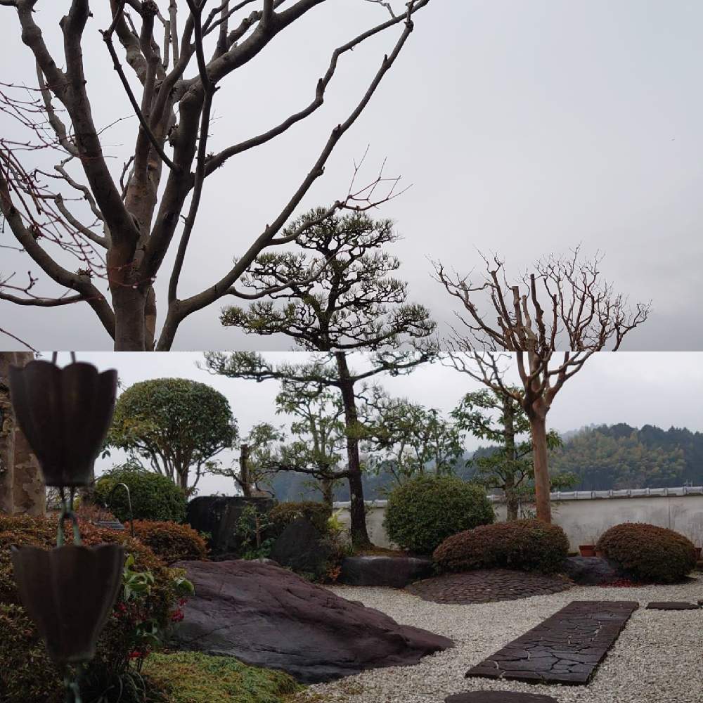 広い庭の画像 by GONTITIさん | 広い庭と和風庭園と剪定と岡山県鏡野町