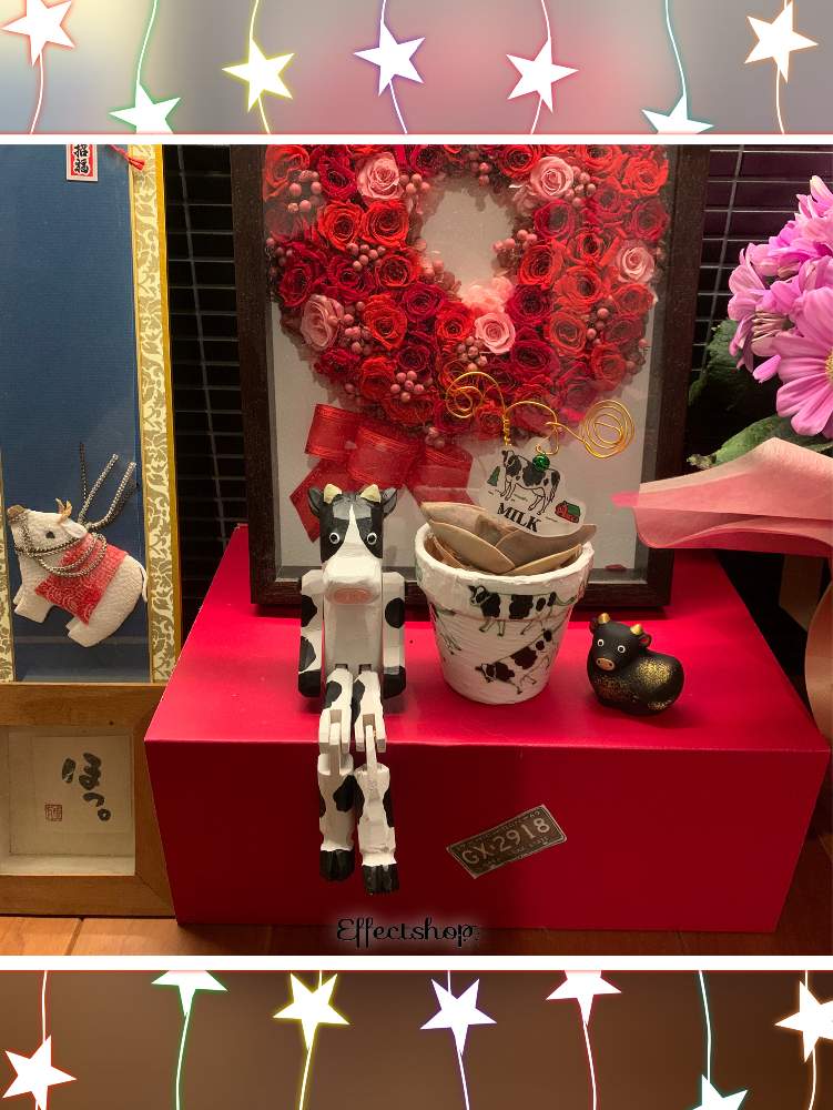 玄関の画像 by リトルクローバーさん | 玄関と手作りと多肉植物と医療・介護の皆様に感謝とばら バラ 薔薇と乗り切ろうコロナとリメ鉢と医療現場の人々に感謝とコロナウイルスに負けるな‼と素敵なプレゼントと薔薇♪と牛の日とチーム愛知とコロナ油断大敵と24日は牛の日