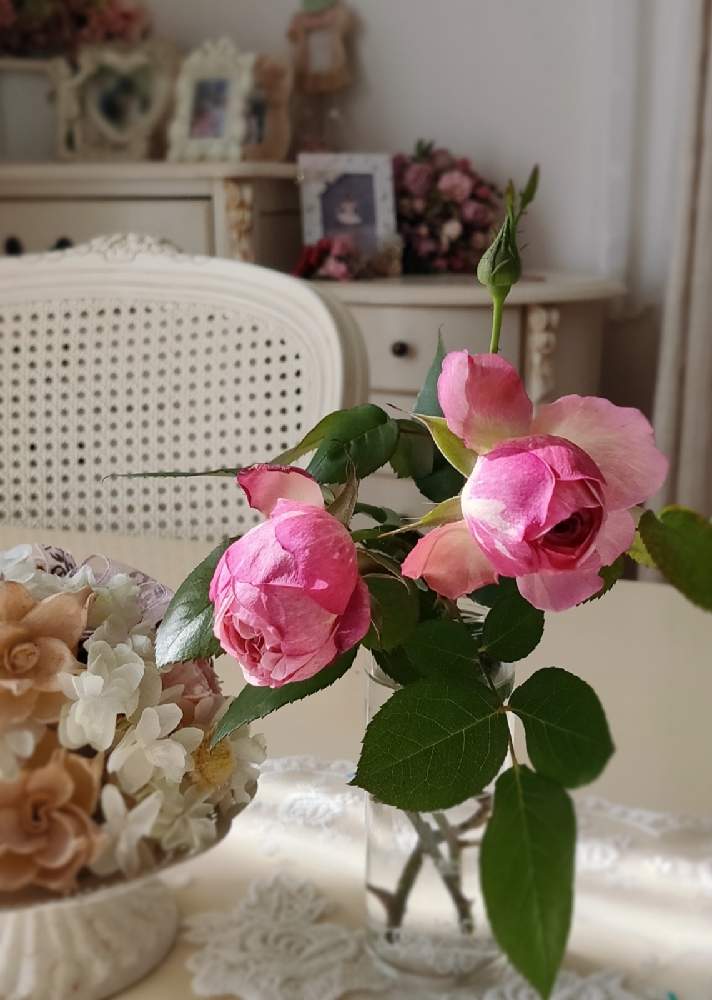 部屋の画像 by Bree Van de Kampさん | 部屋とばら バラ 薔薇と薔薇好きとおうち園芸とかおりかざり♥️とガーデニングと花のある暮らしとかおりかざり バラ
