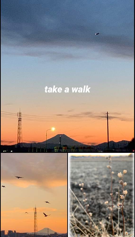 お出かけ先の画像 by kane flowerさん | お出かけ先と飛行機♡と 富士山と何の実かな??と埼玉県