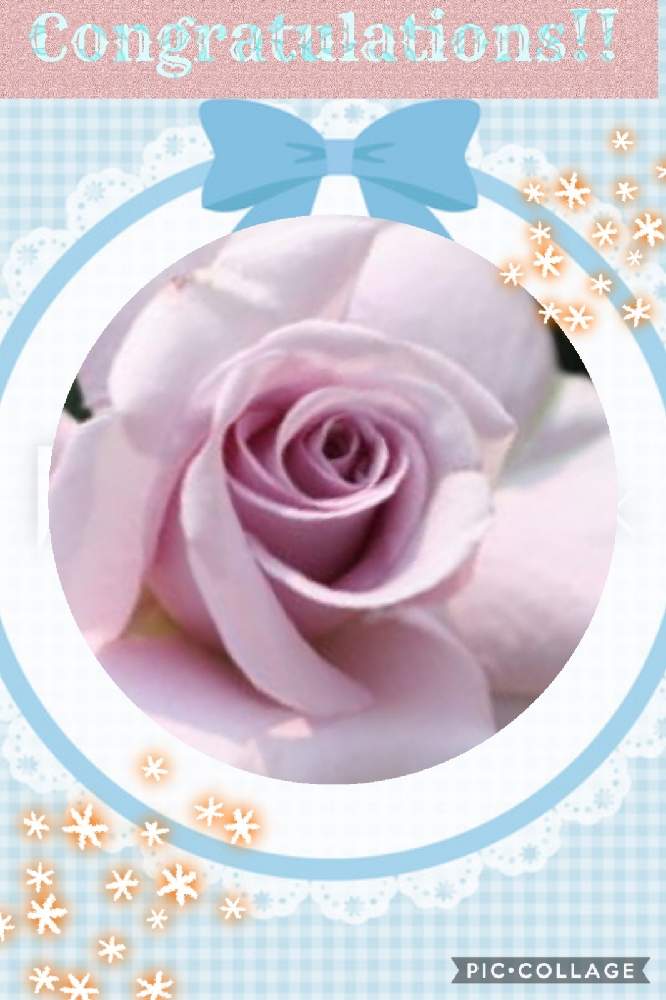 の画像 by トリトンさん | 薔薇と薔薇 ブルーリボンとお祝いpicとキュンキュン乙女倶楽部と医療・介護の皆様に感謝と㊗️りぼん♡さん500picと青薔薇マニアと癒やされる♡と生田緑地ばら苑とキュンキュン乙女倶楽部No.183と月曜日にはバラをとかわいいとチーム・ブルーとチーム・ブルーNo.009