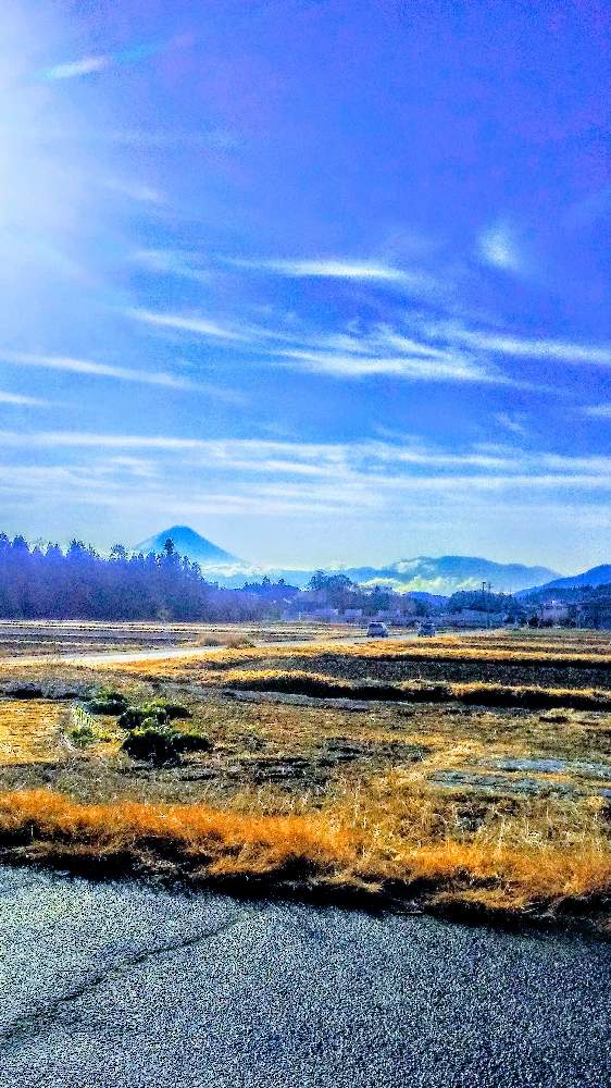 お出かけ先の画像 by TOTOROGAOさん | お出かけ先と希望への 道 Mt.富士と八ヶ岳南麓✨冬景色とgiveの 誠心✨と#お花好き✨と花と緑のある暮らしと野あざみと私に、出来る ささやかな 想いと絆☆紡ぐ!と自然と 共にと# スマホ写真と雲仲間と# 私の 好きな 花 ☆とGSのみなさんに感謝♡とおうち園芸と八ヶ岳への 道のり✨と# 山野草と#花のある暮らしと素敵な 仲間とガーデニングと散歩で見つけた素敵✨と#写真好きと#花友
