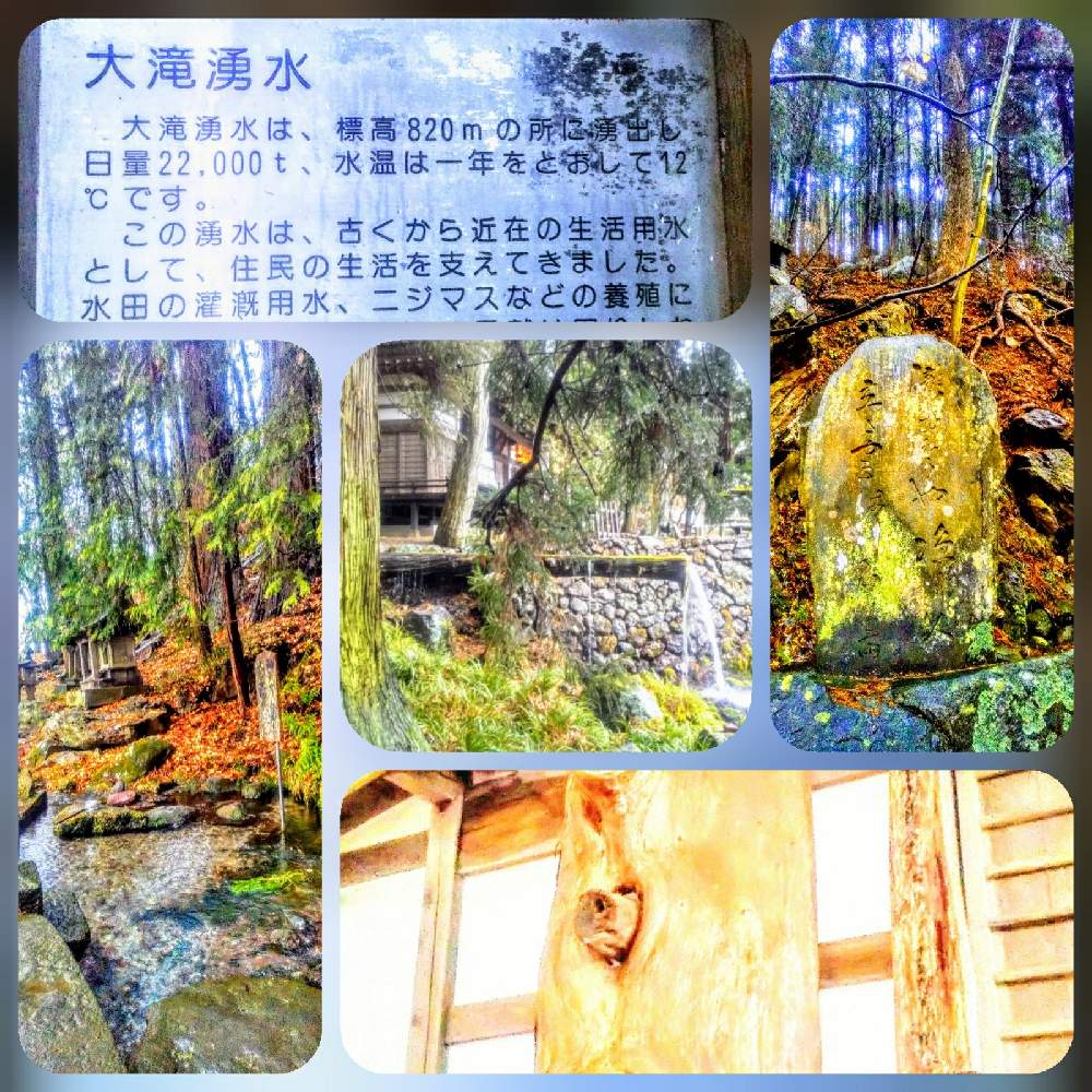 お出かけ先の画像 by TOTOROGAOさん | お出かけ先と大滝神社の 森の景色と#お花好き✨と花と緑のある暮らしと野あざみと私に、出来る ささやかな 想いと絆☆紡ぐ!と#山梨地元散策と自然と 共にと# スマホ写真と雲仲間と# 私の 好きな 花 ☆とGSのみなさんに感謝♡と八ヶ岳への 道のり✨と# 山野草と#花のある暮らしとガーデニングと散歩で見つけた素敵✨と#写真好きと#花友と大滝神社の森の景色と#笑顔で 紡ぐ 花友