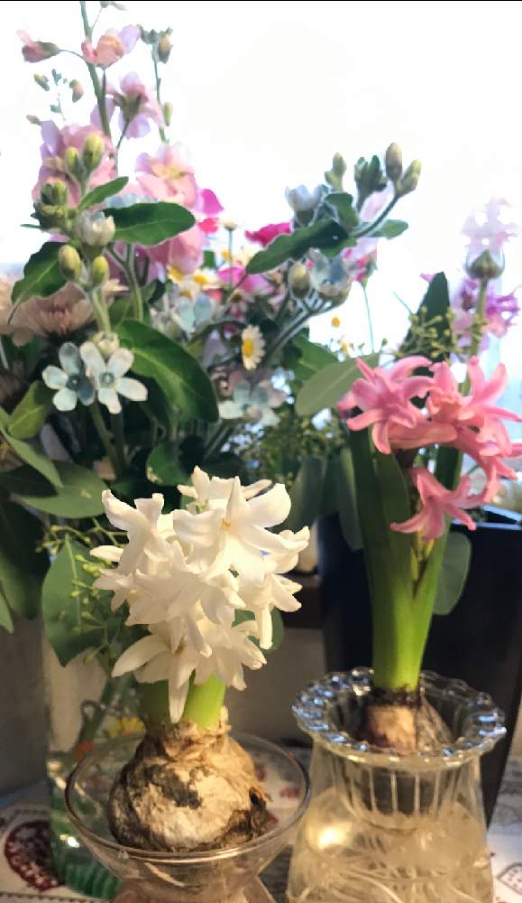 窓辺の画像 by 六花さん | 窓辺と小さなお花と癒しと花のある暮らしとピンク系のお花と窓辺の癒しとしろいはな