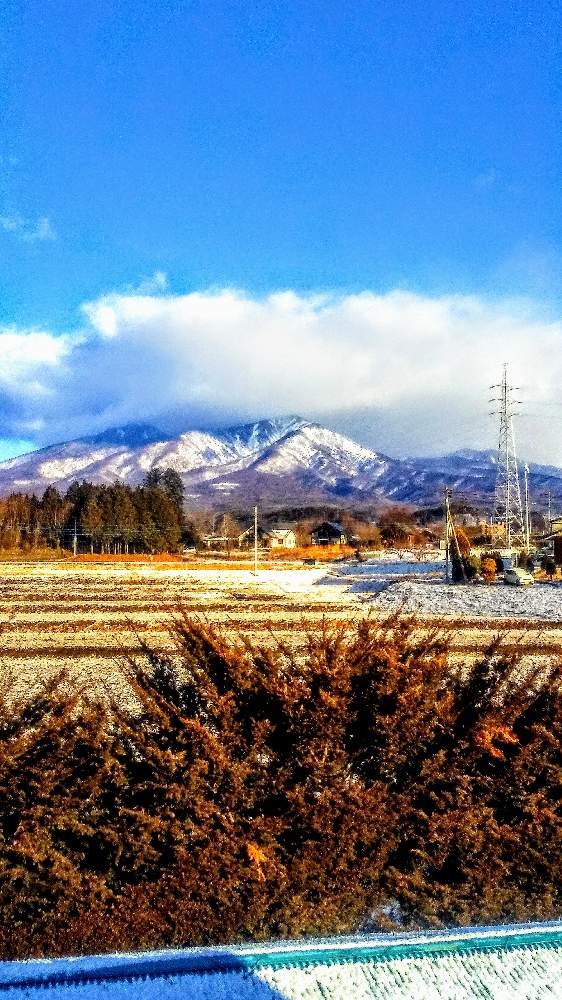 窓辺の画像 by *TOTOROGAO*2ndさん | 窓辺とイチイの木と#お花好き✨と花と緑のある暮らしと野あざみと私に、出来る ささやかな 想いと絆☆紡ぐ!と自然と 共にと# スマホ写真と雲仲間と# 私の 好きな 花 ☆と八ヶ岳トトロ✨絆とおうち園芸と八ヶ岳への 道のり✨と# 山野草とcan doと#花のある暮らしと素敵な 仲間とガーデニングと庭からの 花便りと#写真好きと#花友