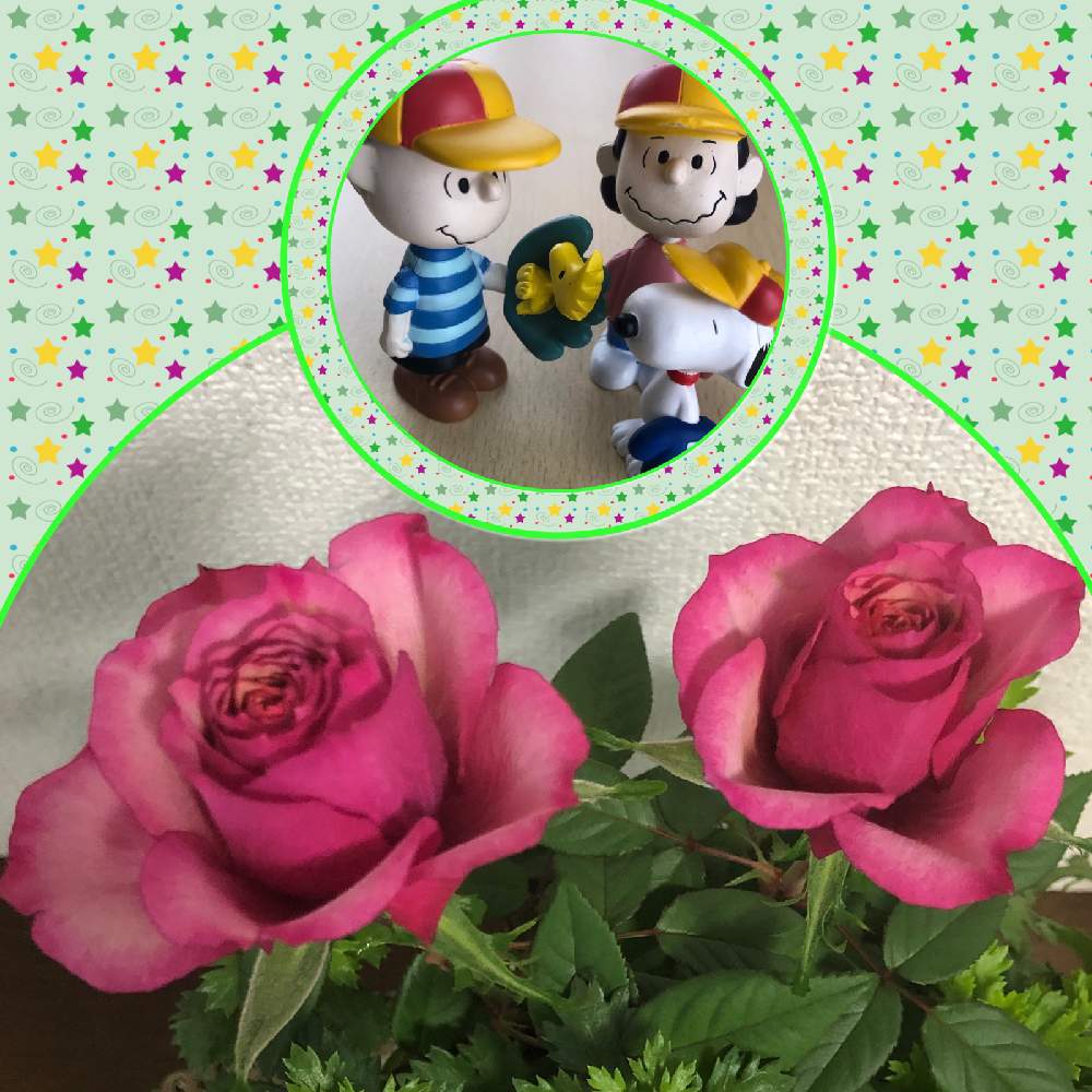 小さな庭の画像 by marchenさん | 小さな庭とミニバラコルダーナシリーズとSnoopy好きとMy Garden ☆ ♪