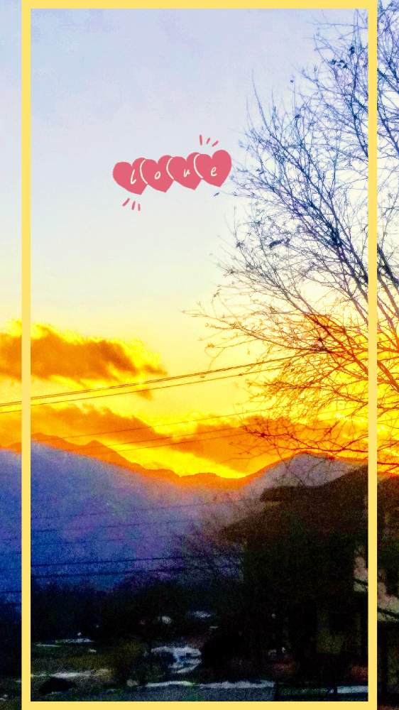 お出かけ先の画像 by TOTOROGAOさん | お出かけ先と南アルプスの山々と八ヶ岳からの 夕焼け空と#お花好き✨と花と緑のある暮らしと野あざみと私に、出来る ささやかな 想いと絆☆紡ぐ!と自然と 共にと# スマホ写真と雲仲間と# 私の 好きな 花 ☆と八ヶ岳トトロ✨絆とGSのみなさんに感謝♡とおうち園芸と八ヶ岳への 道のり✨と# 山野草と#花のある暮らしと素敵な 仲間とガーデニングと散歩で見つけた素敵✨と#写真好きと#花友
