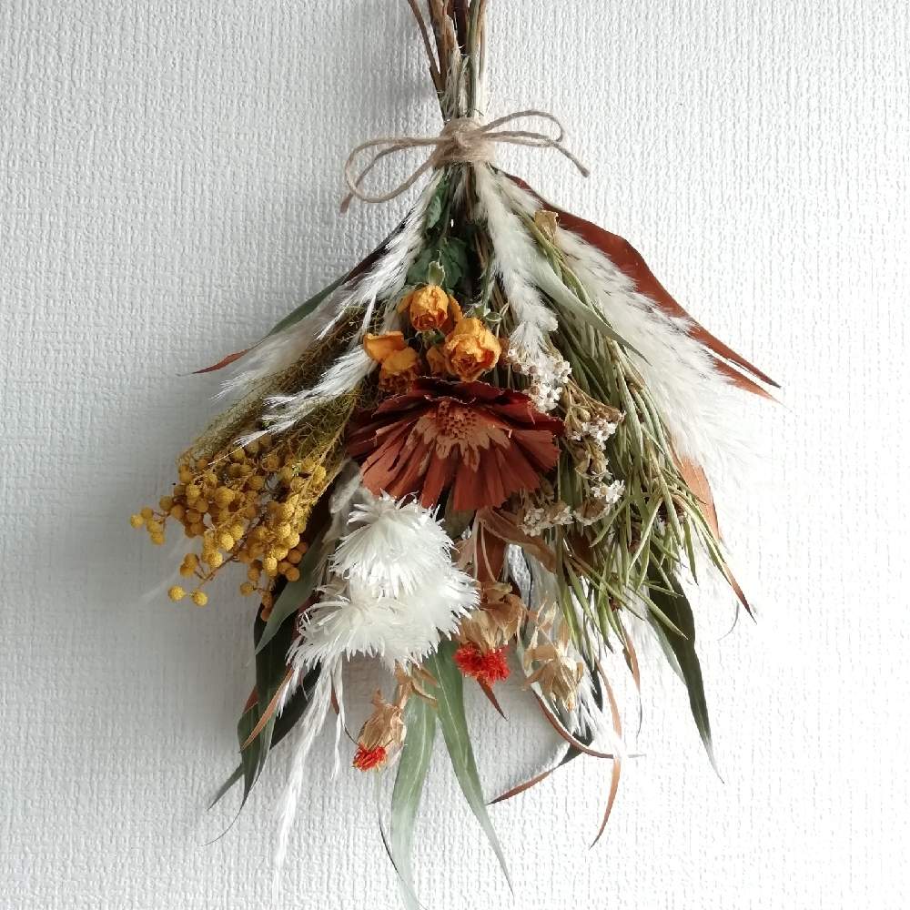 インテリアの画像 by mukutouさん | インテリアとプロテア・ロゼットと紅花(べにばな)とドライフラワー作りとドライフラワーとドライフラワー大好きとドライフラワーのある暮らしとドライフラワー スワッグとドライフラワーアレンジとドライフラワーディスプレイとドライフラワー ブーケとドライフラワー好き