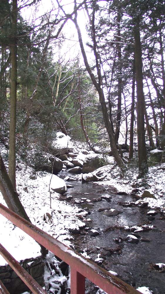 お出かけ先の画像 by 風の駅さん | お出かけ先とカラスウリと冬景色(福島県)と家から徒歩範囲と水辺の水曜日と雪景色(福島県)と降雪とジジイとババアの難癖