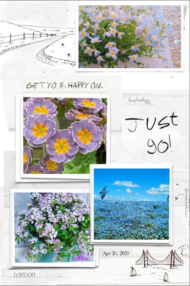 の画像 by Anemone❁⃘*.゚さん | GS永ちゃん部と三浦春馬さんを忘れない♡とGS映えとコラージュとチームブルーNo.96とガーデニングと(祝)青い花マニア3周年と花のある暮らしと青い花マニアとチーム・ブルーと青い小さな花マニアと#天外者