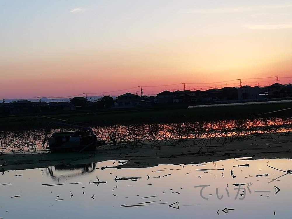 お出かけ先の画像 by ティガーさん | お出かけ先とレンコンと最前線のあなたへと土曜土ものとたまには景色もとコロナに負けるな!とシンプルが好きと植物好きと花のある暮らしと自然の不思議